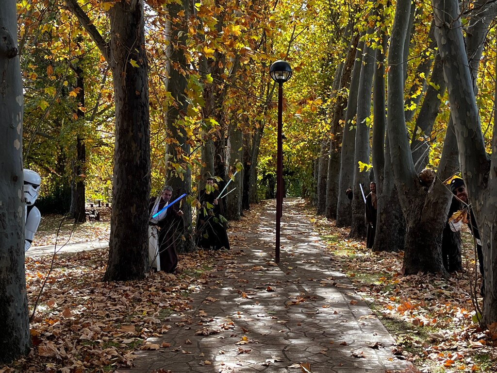 Coonabarabran - Neilson Park